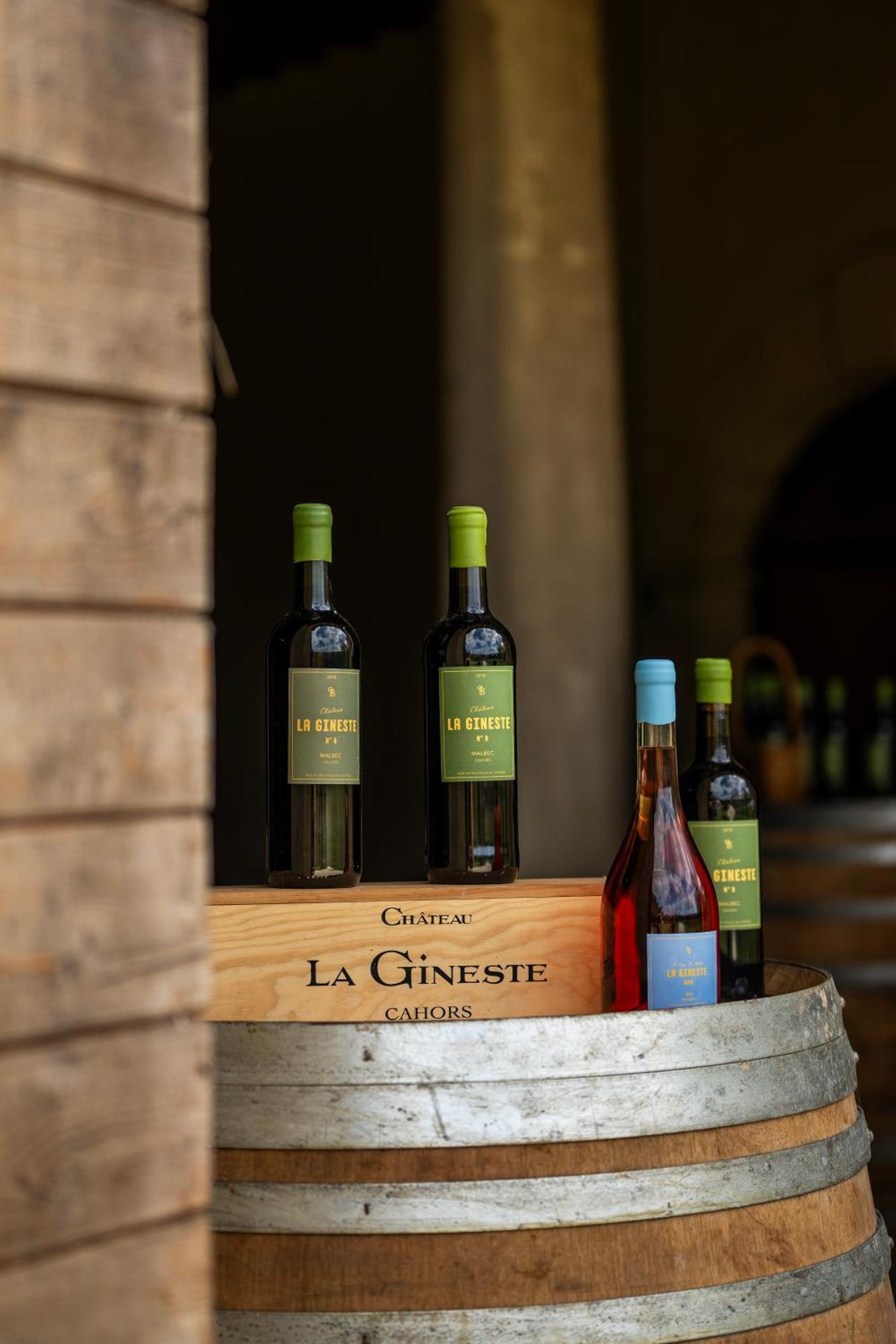 Chateau La Gineste - Castle And Vineyard Duravel 外观 照片