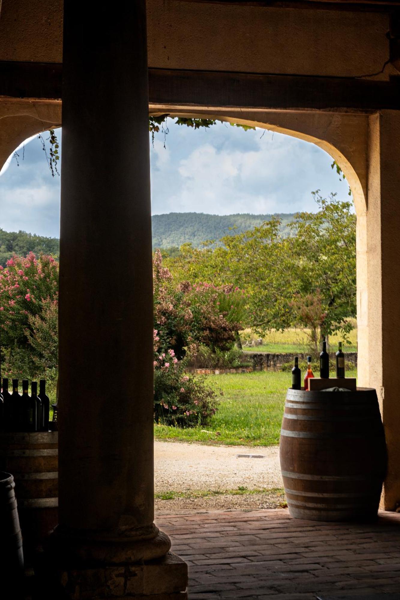 Chateau La Gineste - Castle And Vineyard Duravel 外观 照片